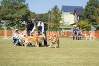 DFI2024-01686.jpg