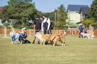 DFI2024-01687.jpg