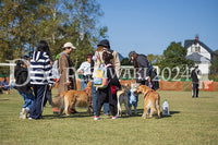 DFI2024-01691.jpg