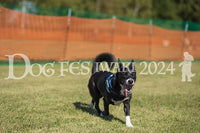DFI2024-01721.jpg