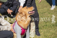 DFI2024-01749.jpg