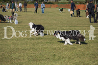 DFI2024-01755.jpg