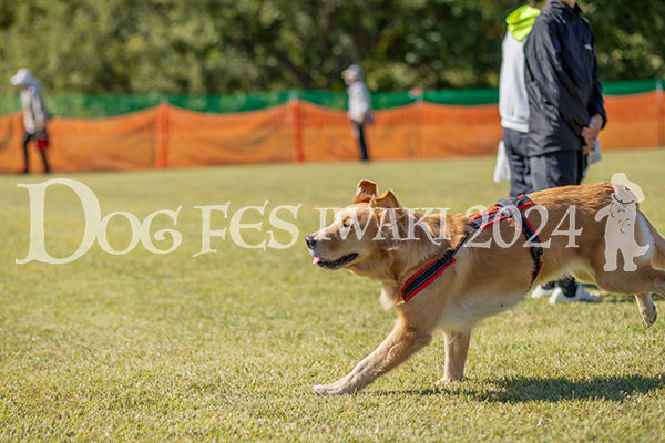 DFI2024-01760.jpg