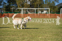 DFI2024-01761.jpg