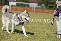 DFI2024-01763.jpg