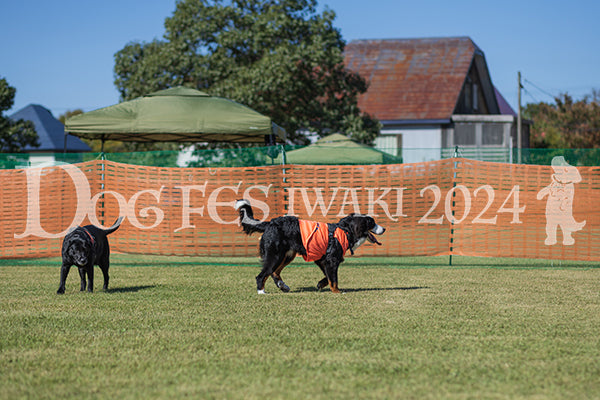 DFI2024-01767.jpg