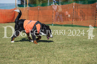 DFI2024-01769.jpg