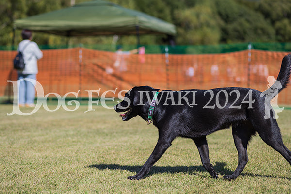 DFI2024-01789.jpg
