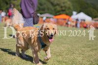 DFI2024-01801.jpg