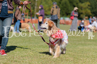 DFI2024-01863.jpg