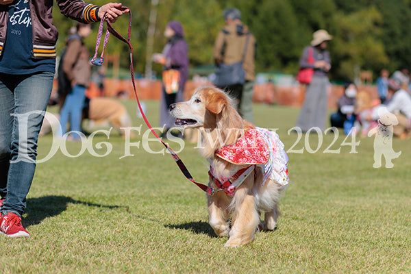 DFI2024-01863.jpg