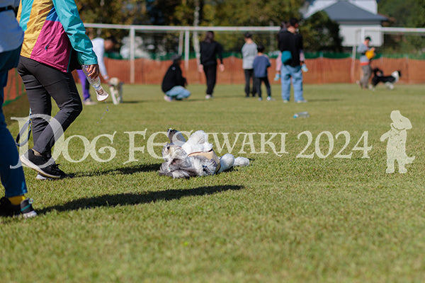 DFI2024-01901.jpg