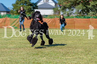 DFI2024-01911.jpg