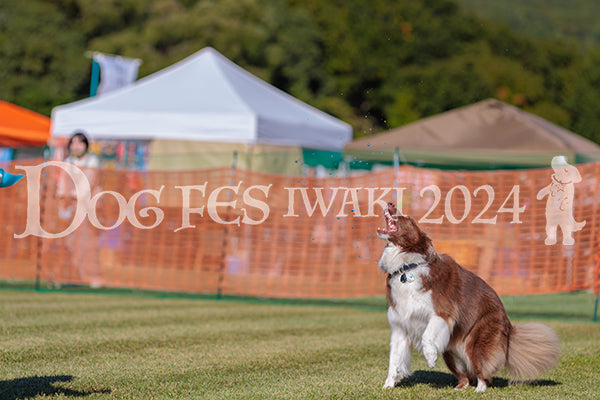DFI2024-02097.jpg