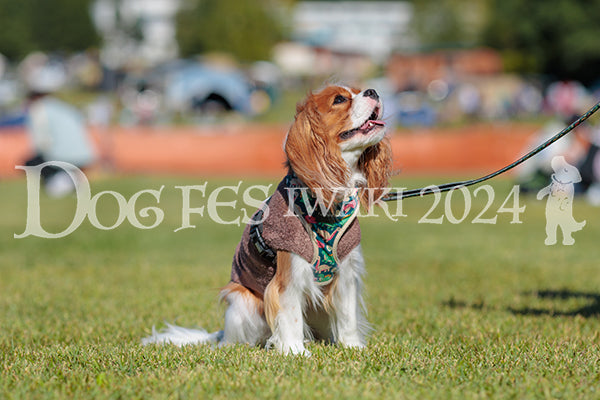 DFI2024-02147.jpg