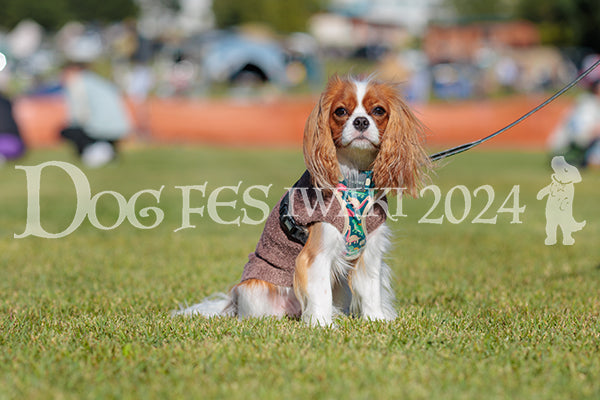 DFI2024-02148.jpg