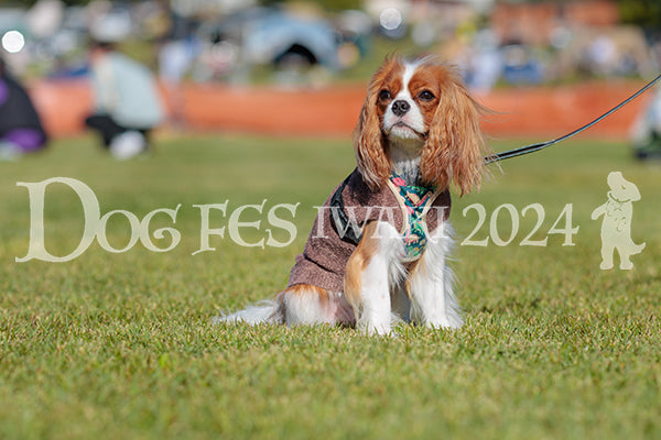 DFI2024-02149.jpg