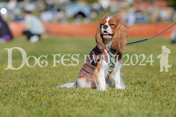 DFI2024-02150.jpg
