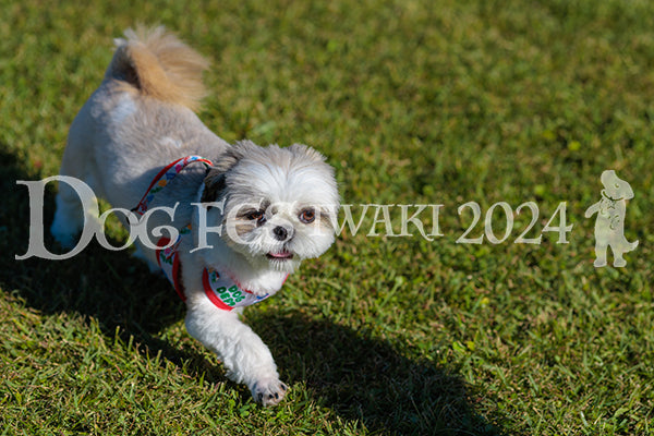 DFI2024-02175.jpg