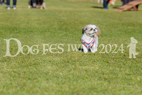 DFI2024-02176.jpg