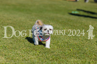 DFI2024-02177.jpg