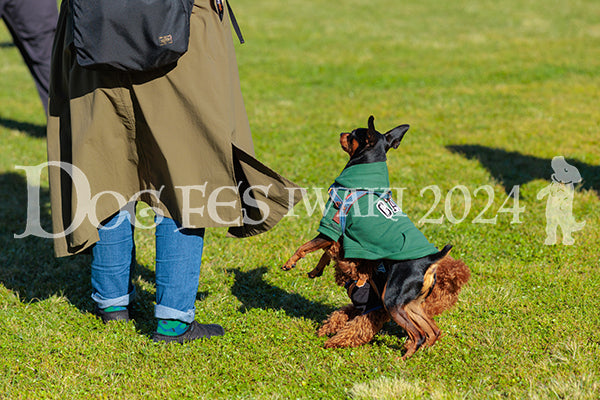 DFI2024-02178.jpg