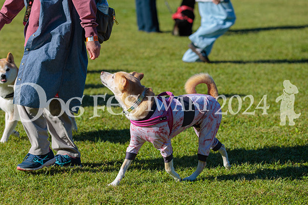 DFI2024-02180.jpg