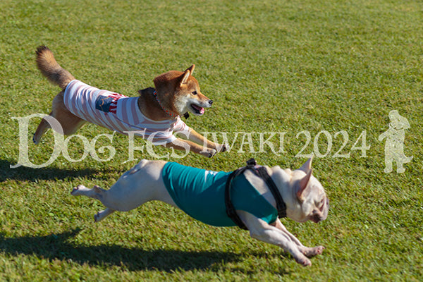 DFI2024-02181.jpg