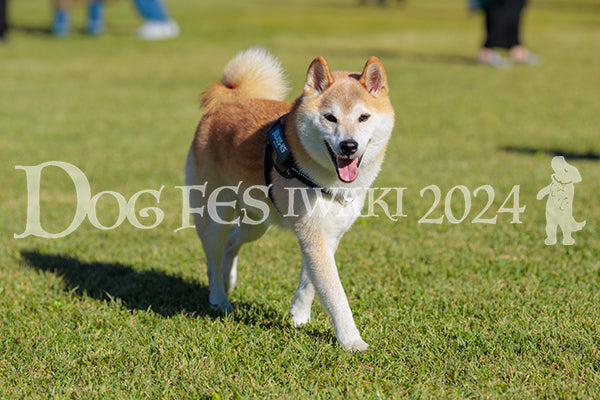DFI2024-02182.jpg