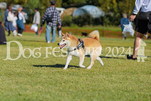 DFI2024-02184.jpg