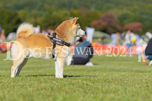 DFI2024-02185.jpg