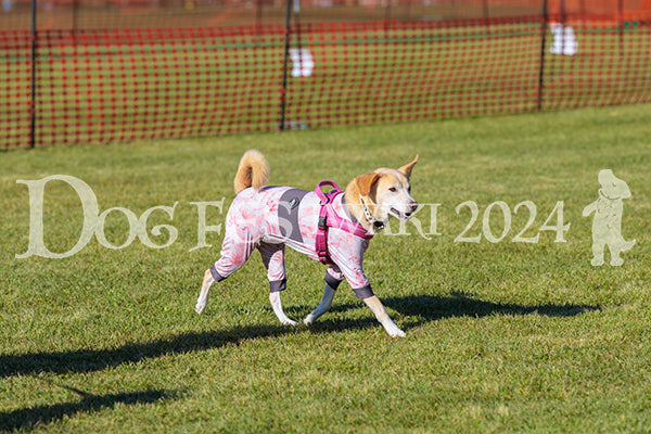 DFI2024-02188.jpg