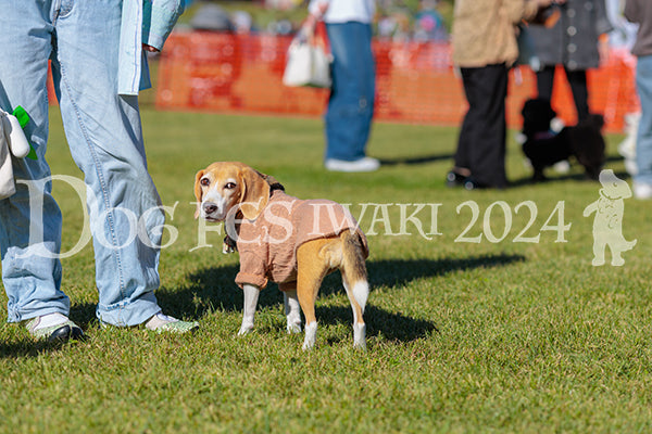 DFI2024-02213.jpg