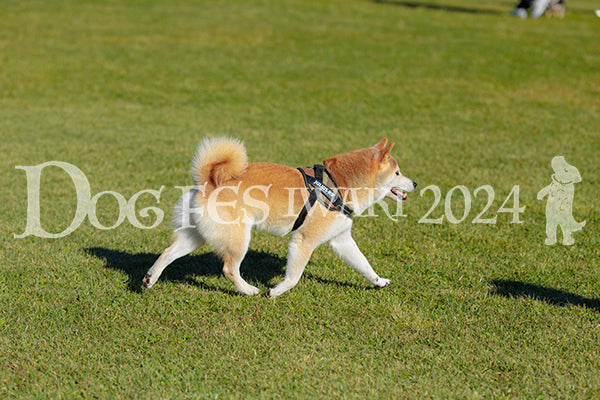 DFI2024-02214.jpg