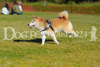 DFI2024-02215.jpg