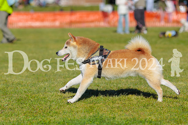DFI2024-02216.jpg