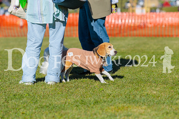 DFI2024-02221.jpg