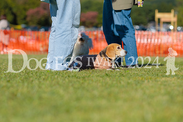 DFI2024-02223.jpg