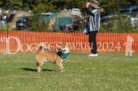 DFI2024-02225.jpg