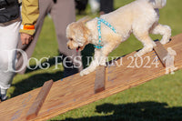 DFI2024-02235.jpg