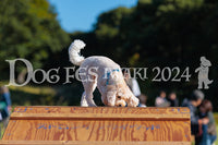 DFI2024-02241.jpg