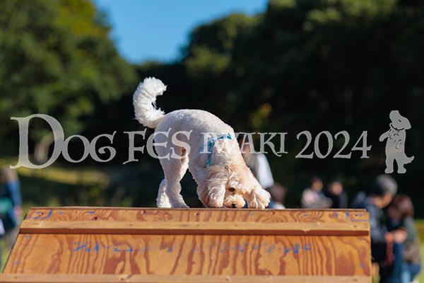 DFI2024-02241.jpg