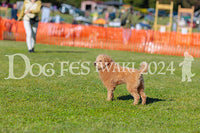DFI2024-02263.jpg