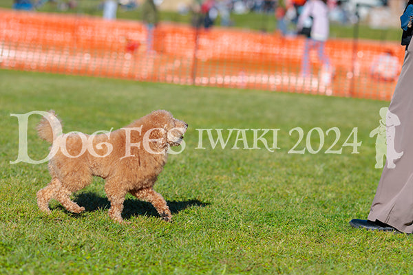 DFI2024-02265.jpg