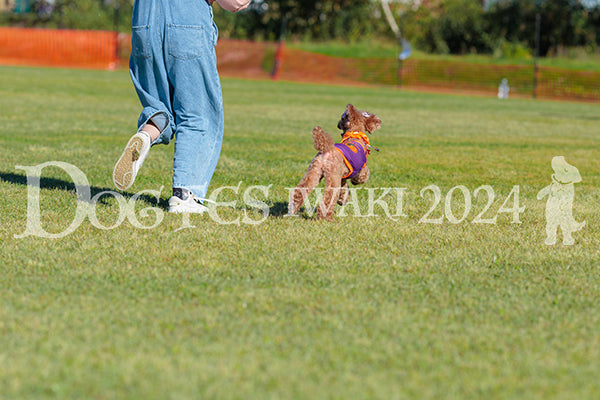 DFI2024-02276.jpg