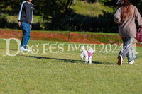 DFI2024-02279.jpg