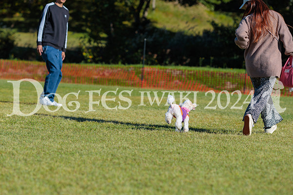 DFI2024-02279.jpg