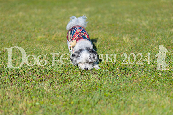 DFI2024-02285.jpg