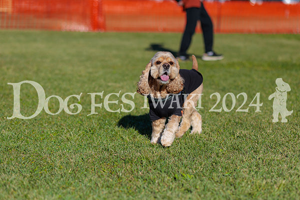 DFI2024-02291.jpg