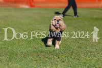 DFI2024-02292.jpg